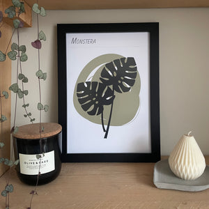 Monstera A4 Print