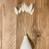 Ivory bunny tails bouquet