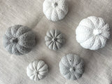 Grey and white concrete pumpkins flatlay. Autumn fall decor pumpkin ornaments